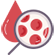 Lipid Profile